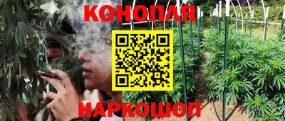 apvp Новозыбков