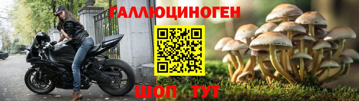 Галлюциногенные грибы Magic Shrooms  Псилоцибиновые грибы Psilocybine cubensis  Вход с VPN  Удомля 